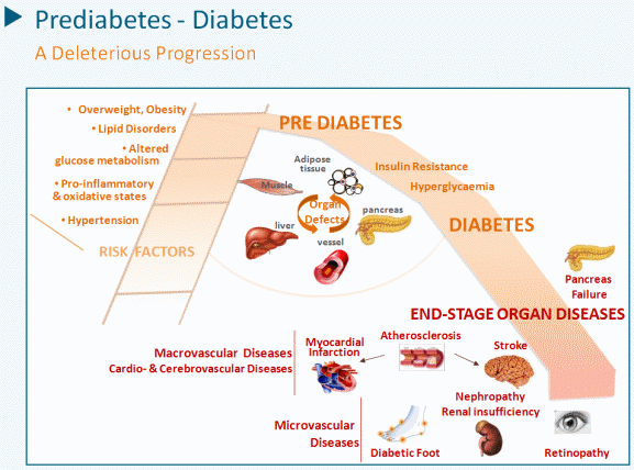 Prodiabetes_Diabetes_03